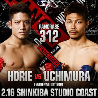 Pancrase - 312