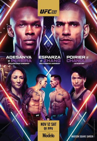 UFC 281 - Adesanya vs Pereira