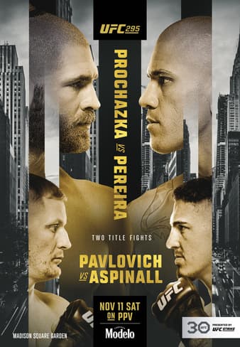 UFC 295 - Prochazka vs Pereira