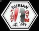 Fight Gym Combat logo