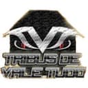 Tribus de Vale Tudo logo