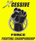 Grand Fighting Force logo