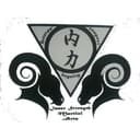 Inner Strength MMA logo