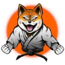 Flex Fighting Academy logo