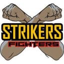 Strike Fighter (Brazil) logo