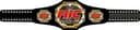 Mega ITZ Combat logo