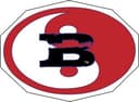 BAMMA USA logo