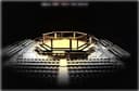 Golden Cage MMA logo