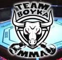 Boyka FC logo