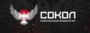 Sokol Fighting logo