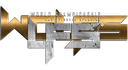 Last Fighter Standing logo