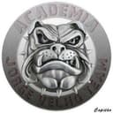 JVT Championship logo