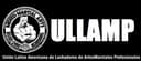 Latin American Fighter logo