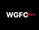 World Global Fighting Championship logo