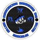 Asociacion Bahiense de AMM logo