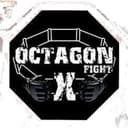 Octagon Fight logo