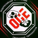 All-Russian Organization for the Development of Mixed Martial Arts logo