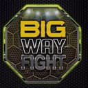 Big Way Fight logo