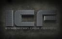 Intimidation Cage Fighting logo