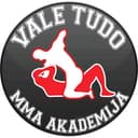 ValeTudo Fighting Championship logo