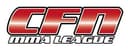 Cage Fight Nights MMA League logo