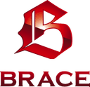 Brace For War logo