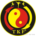 True Kung Fu MMA logo