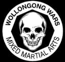 Wollongong Wars logo