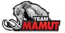 Desafio Fighting Championship logo