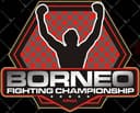 Borneo Fighting Championship logo
