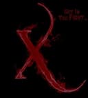Extreme Fighting Combat (El Salvador) logo