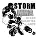 Storm MMA logo