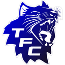 Tasmanian Fighting Championships logo