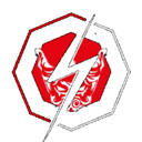 Raiden MMA logo