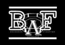 Belgorod Absolute Fighting logo