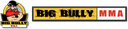 Big Bully MMA logo
