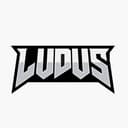 Ludus MMA logo