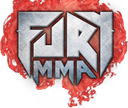 Fury MMA logo