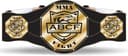 Association of Future Boxing Champions logo