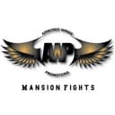 Armored Wings Promotions logo
