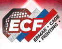 Ermak Cage Fighting logo