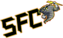 Storm Fighting Championships logo