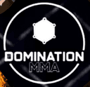 Domination Muay Thai logo