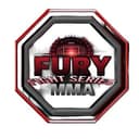 Fury Fight Series logo