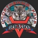 Veles Fighting Championship logo