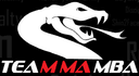 Mamba Fighting Championship logo