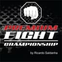 Premium Fight Championship logo
