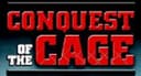 ExciteFight logo