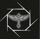 Animalistic MMA logo