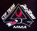 TF Team logo